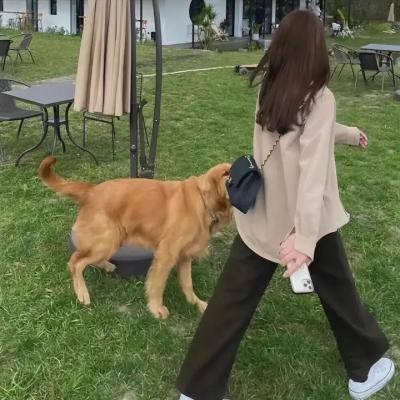 格里芬与菲尼克斯